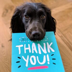 A black dog holding a card in its mouth, which says “Thank You”.