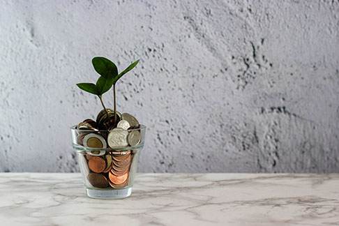 A full glass of coins, topped with a plant, sits on a table. 